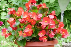 11427304_915645408482152_5742698380323991029_o