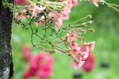 1519710_915646181815408_6221670326844159799_o